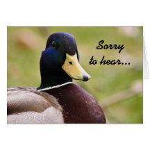 Pato triste oír la tarjeta