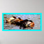 Patos 1 poster