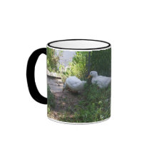 Patos blancos en una taza de la rampa