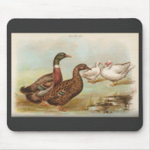 Patos de Graham - de Ruán y de Muscovy Alfombrillas De Raton