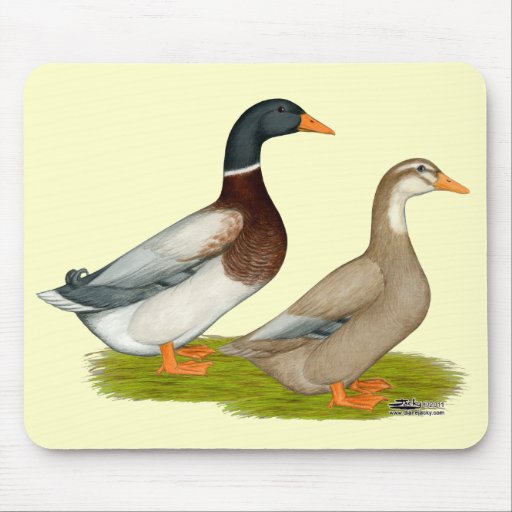 Patos de Sajonia Tapetes De Ratón