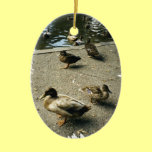 Patos adornos