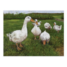 Patos del baile tarjeta postal