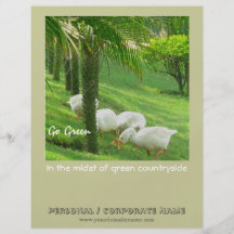 Patos en hierba verde tarjeta publicitaria