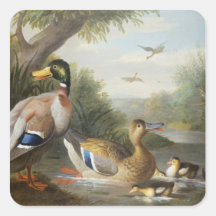 Patos en un paisaje del río pegatinas cuadradas personalizadas