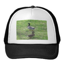 Patos Gorras De Camionero