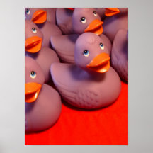 Patos púrpuras poster