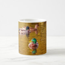 Patos silvestres taza
