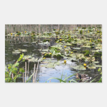 Patos silvestres y lirios etiquetas  