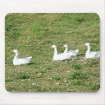 patos tapete de ratón