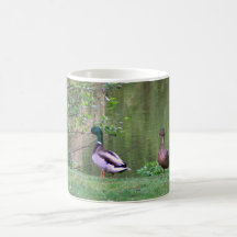 Patos Taza De Café