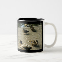 Patos Taza De Café