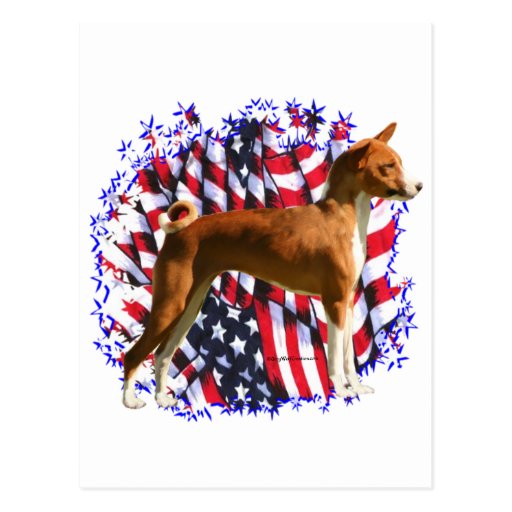 Patriota de Basenji Tarjetas Postales