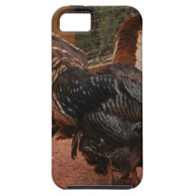 pavo, acción de gracias iPhone 5 Case-Mate fundas