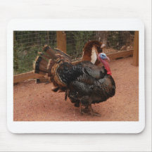 pavo, acción de gracias tapete de raton