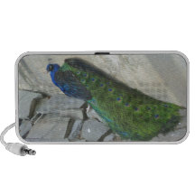 Pavo real altavoces