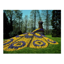pavo real amarillo de la flor, flores de Mainau Tarjeta Postal