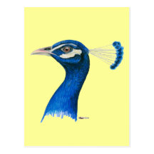 Pavo real:  Azul indio Postal