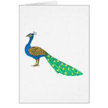 Pavo real del embalador tarjeton