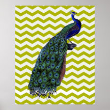 Pavo real elegante poster
