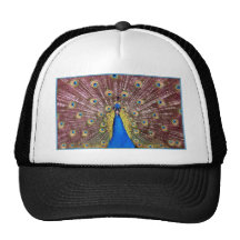 Pavo real gorra