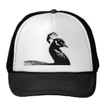 Pavo real gorras