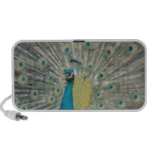 Pavo real iPhone altavoz