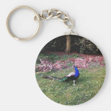 Pavo real orgulloso llaveros personalizados