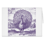 Pavo real, un grabado del vintage felicitacion 