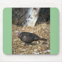 Pavo salvaje de Merriams, gallina Tapete De Raton