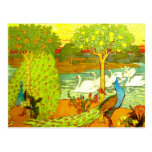 Pavos reales y cisnes de Nouveau del arte Tarjetas Postales