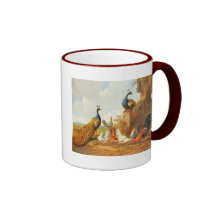 Pavos reales y pollos taza de café
