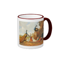 Pavos reales y taza de café de los pollos
