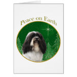 Paz de Havanese Felicitación