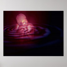 Paz dentro posters