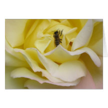 Paz subió con la abeja felicitacion 