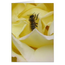 Paz subió con la abeja tarjetas