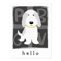 PBGV gris y blanco Tarjeta Postal