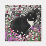 Pecas en el imán de las flores II - gato del smoki