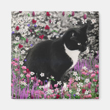 Pecas en el imán de las flores II - gato del smoki