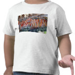 Pedazo de la cáscara blackboy resinosa camisetas