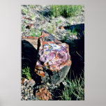 Pedazo del registro de la ágata - parque nacional  poster
