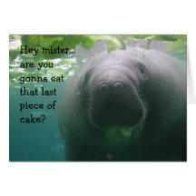 Pedazo del último del cumpleaños del Manatee de se