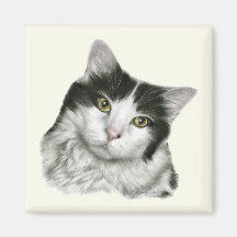 Pedro, gato de pelo corto blanco y negro imán para frigorífico