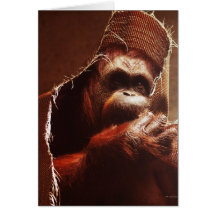 Peekaboo II Felicitaciones