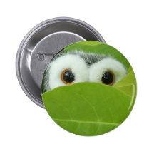 Peekaboo Pins