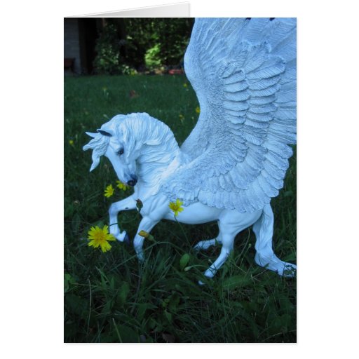 Pegaso blanco tarjeton