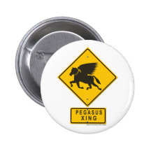 Pegaso XING Pin