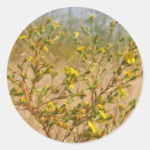 Pegatina amarillo de Bush de las flores