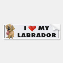 Pegatina (amarillo) del amor del labrador retrieve etiqueta de parachoque